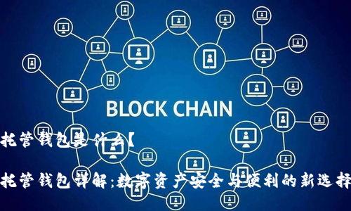 托管钱包是什么？

托管钱包详解：数字资产安全与便利的新选择