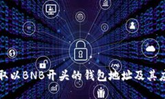如何获取以BNB开头的钱包