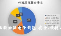 全面解析比特大陆电子钱
