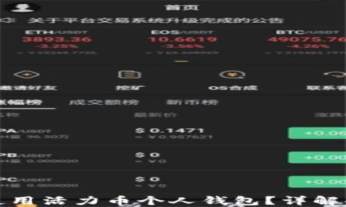 
如何安全使用活力币个人钱包？详解功能与技巧