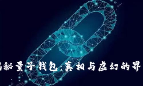 揭秘量子钱包：真相与虚幻的界限