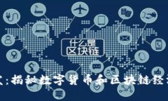 钱包总量开发：揭秘数字