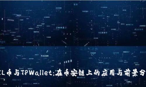 FIL币与TPWallet：在币安链上的应用与前景分析