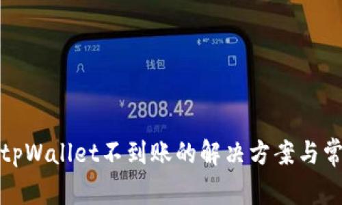 抹茶转账到tpWallet不到账的解决方案与常见问题解析